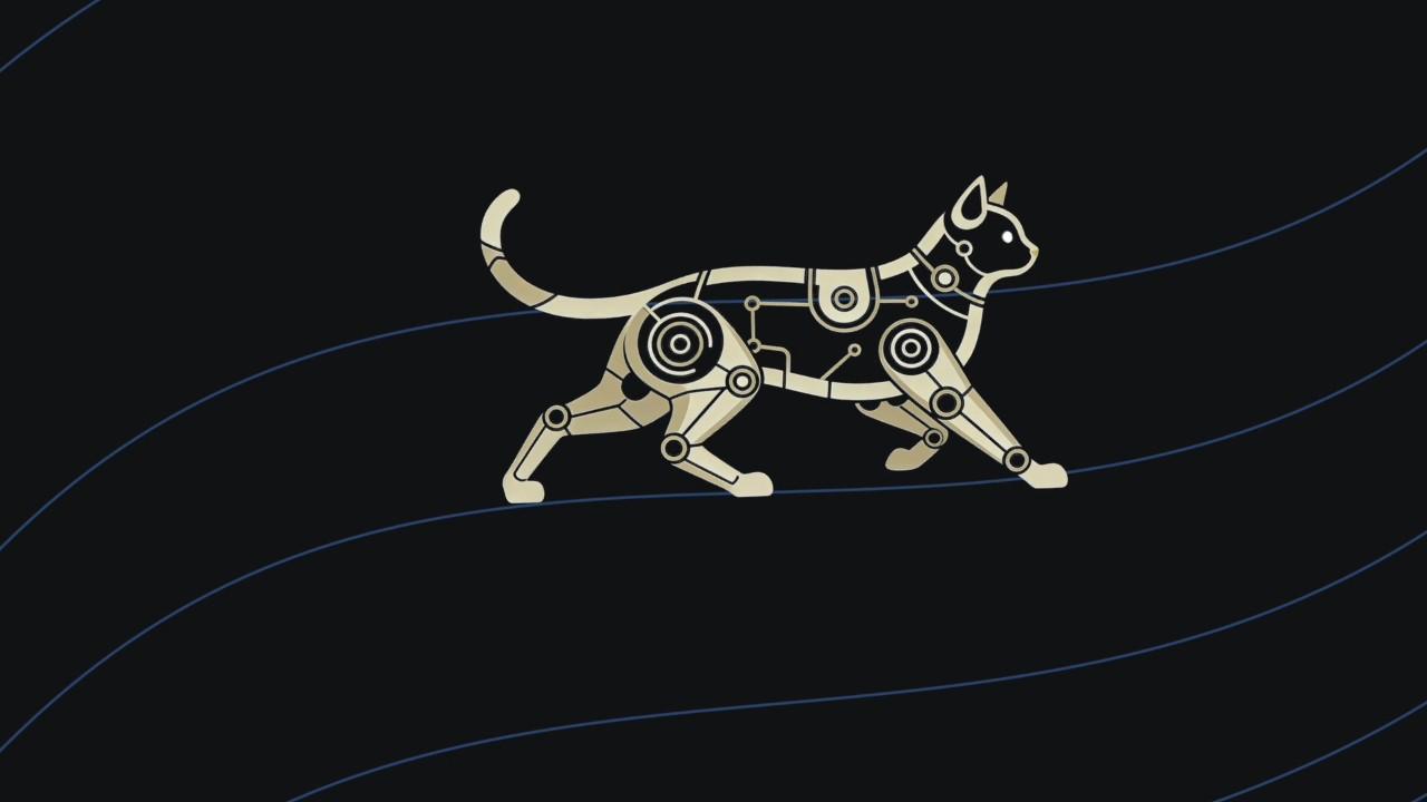 Cat of consciousness